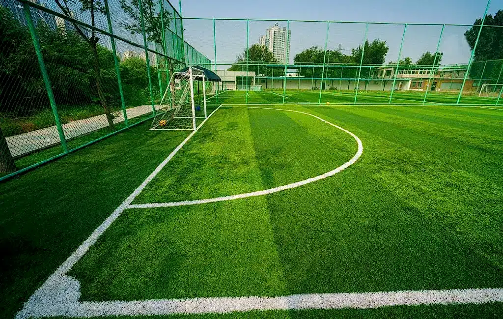 hali saha yuksekligi[]