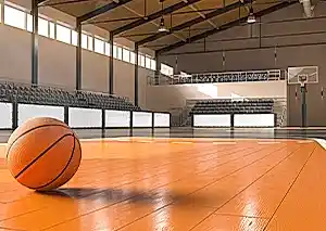 basketbol sahasi