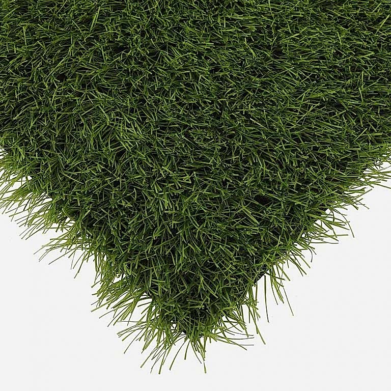 001 power grass suni cim 768x768 1
