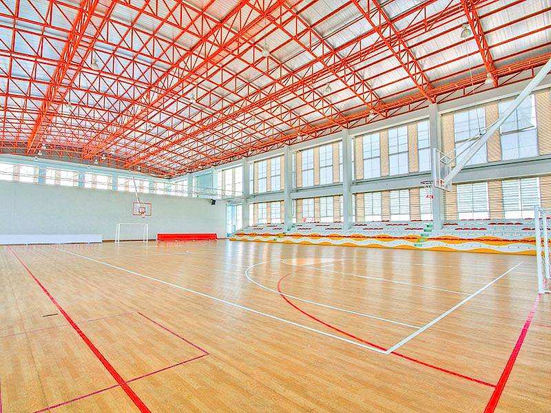 05parke cok amacli saha