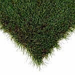 garden b slider img 1