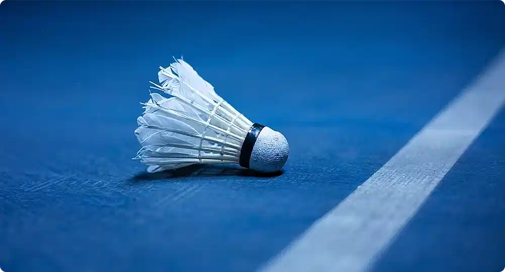 Badminton Topu