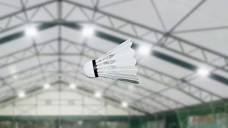 Badminton Topu